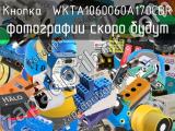 Кнопка  WKTA1060060A170CBR 