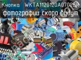 Кнопка  WKTA1120120A070CBR 