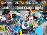 Кнопка  WKTS1120120D060CBR 