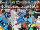 Кнопка  WKTZ6060060A050CBR 