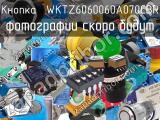 Кнопка  WKTZ6060060A070CBR 