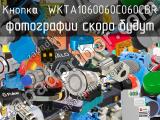 Кнопка  WKTA1060060C060CBR 