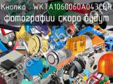 Кнопка  WKTA1060060A043CBR