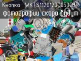 Кнопка  WKTS1120120D050CBR 