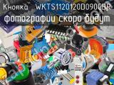 Кнопка  WKTS1120120D090CBR 