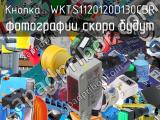 Кнопка  WKTS1120120D130CBR 