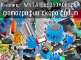 Кнопка  WKTA1060060A060CBR