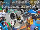 Кнопка  WKTS7060060D043CBR