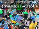 Кнопка  WKTS2030030D0065BTR