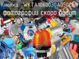 Кнопка  WKTA1060030A050CBR 