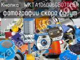 Кнопка  WKTA1060060B070CBR