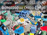 Кнопка  WKTA1120120A130CBR 