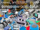 Кнопка  WKTS1120120D070CBR 