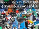 Кнопка  WKTA1060060C043CBR