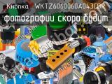 Кнопка  WKTZ6060060A043CBR 