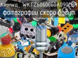 Кнопка  WKTZ6060060A090CBR 