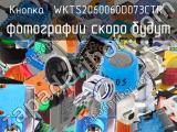 Кнопка  WKTS2060060D073CTR