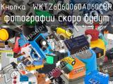 Кнопка  WKTZ6060060A060CBR 