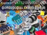 Кнопка  WKTS2120120D073CBR 