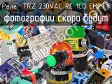 Реле  TRZ 230VAC RC 1CO EMPTY