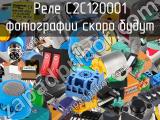 Реле  C2C120001