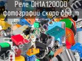 Реле  DH1A120000 