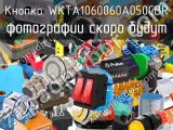 Кнопка  WKTA1060060A050CBR