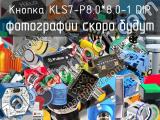 Кнопка KLS7-P8.0*8.0-1 DIP 