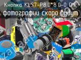 Кнопка KLS7-P8.0*8.0-0 DIP