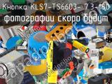Кнопка KLS7-TS6603- 7.3-180 