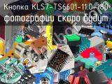 Кнопка KLS7-TS6601-11.0-180 