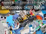 Кнопка KLS7-TS6604- 9.0-180-T 