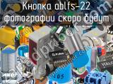 Кнопка ablfs-22 