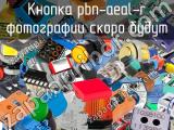 Кнопка pbn-aeal-r