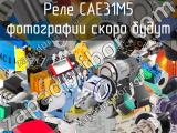 Реле CAE31M5