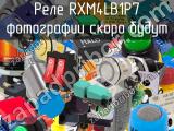 Реле RXM4LB1P7