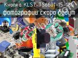 Кнопка KLS7-TS6601-15-180