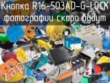 Кнопка R16-503AD-G-LOCK 