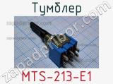 Тумблер MTS-213-E1 