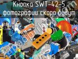 SWT-42-5