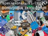 Переключатель SS-01GL2-F