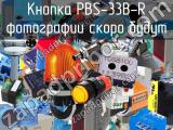 Кнопка PBS-33B-R