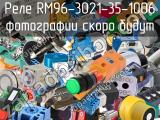 Реле RM96-3021-35-1006