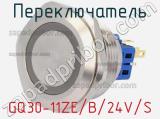 Переключатель GQ30-11ZE/B/24V/S