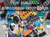 Реле AGN20024 
