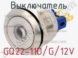 Выключатель GQ22-11D/G/12V