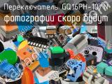 Переключатель GQ16PH-10/N