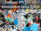 Клавиша AML51-C10R 
