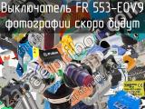 Выключатель FR 553-E0V9 