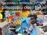 Микропереключатель AM1301F 